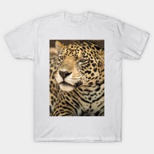 12818 big cat T-Shirt